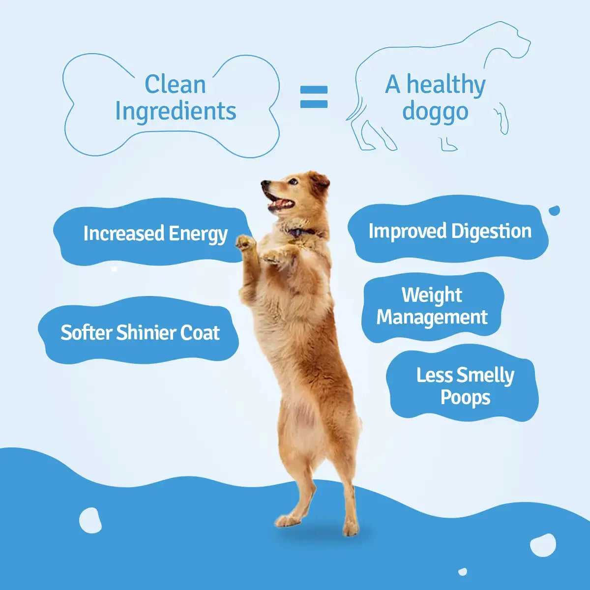 Chicken Zucchini, Pumpkin & Broccoli Fresh Dog Food - 3 packs of 100g BlepWorld