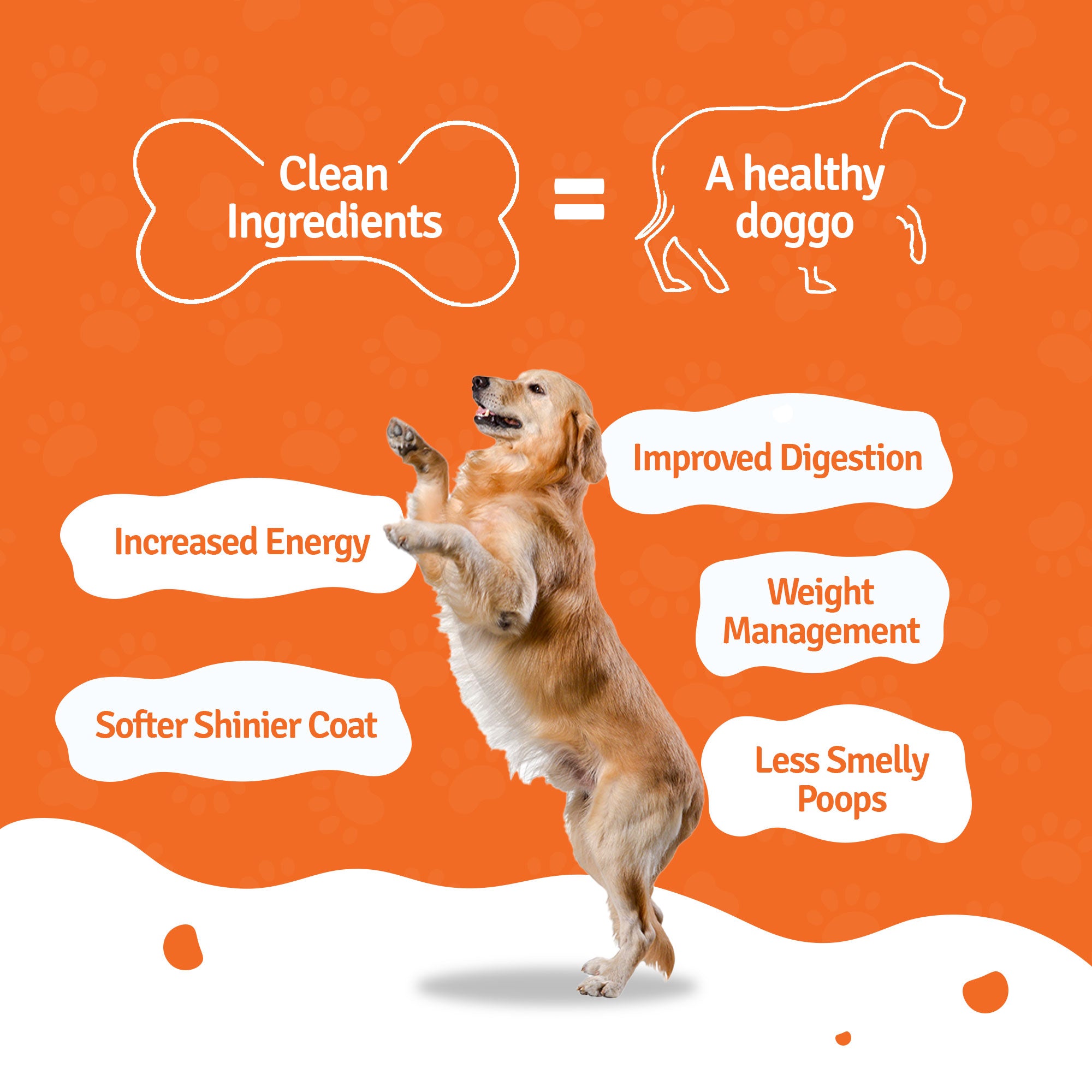 Monthly Pack of Paneer Quinoa Fresh Dog Food