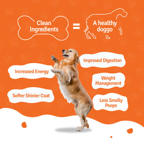 Paneer Quinoa Fresh Dog Food Trial Pack - 5 Packs of 100g