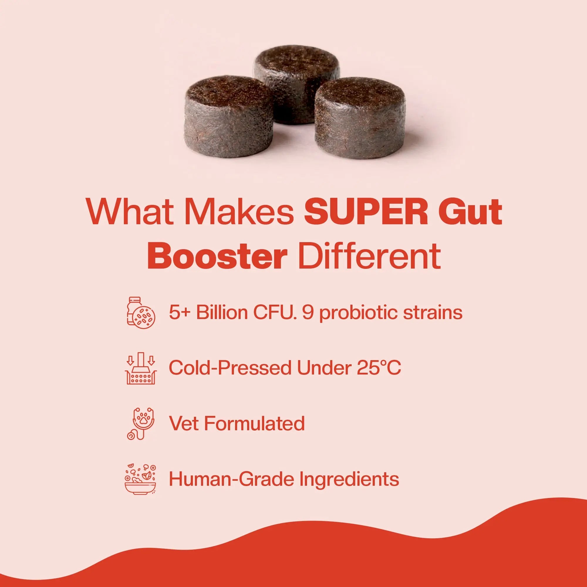 Super Gut Booster with text highlighting features on a beige background. 5 billion CFUs, 9 probiotic strains, cold pressed under 25 degrees, vet formulated and human grade ingredients