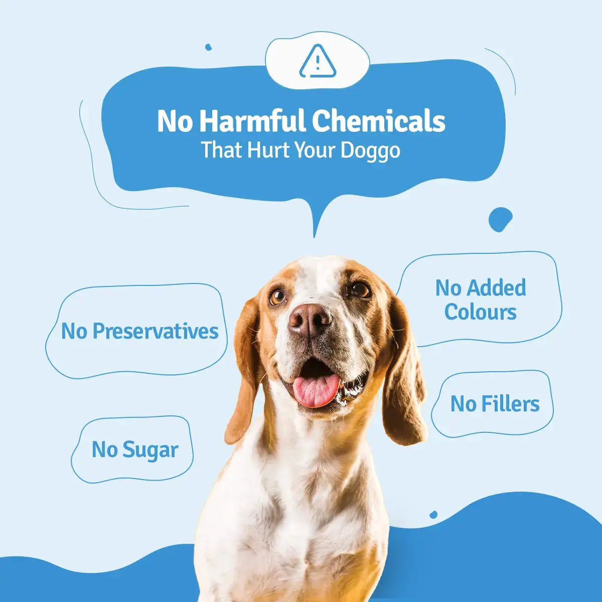 Chicken Rice Dog Food Trial Pack BlepWorld