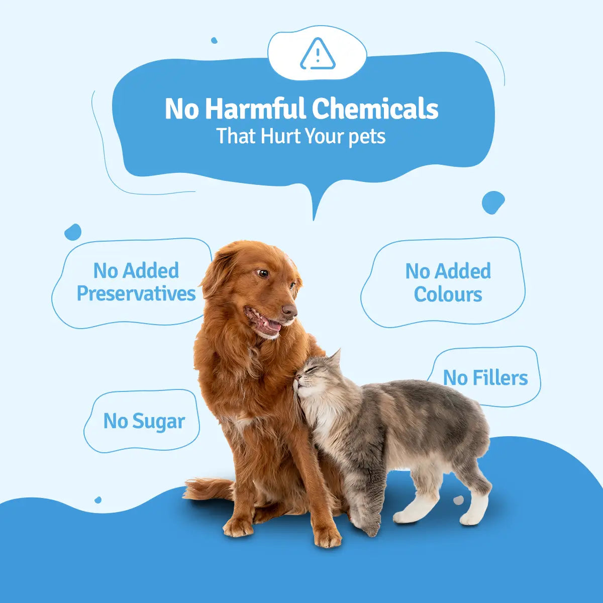 Lamb Broth for Cats & Dogs - 100 ml BlepWorld