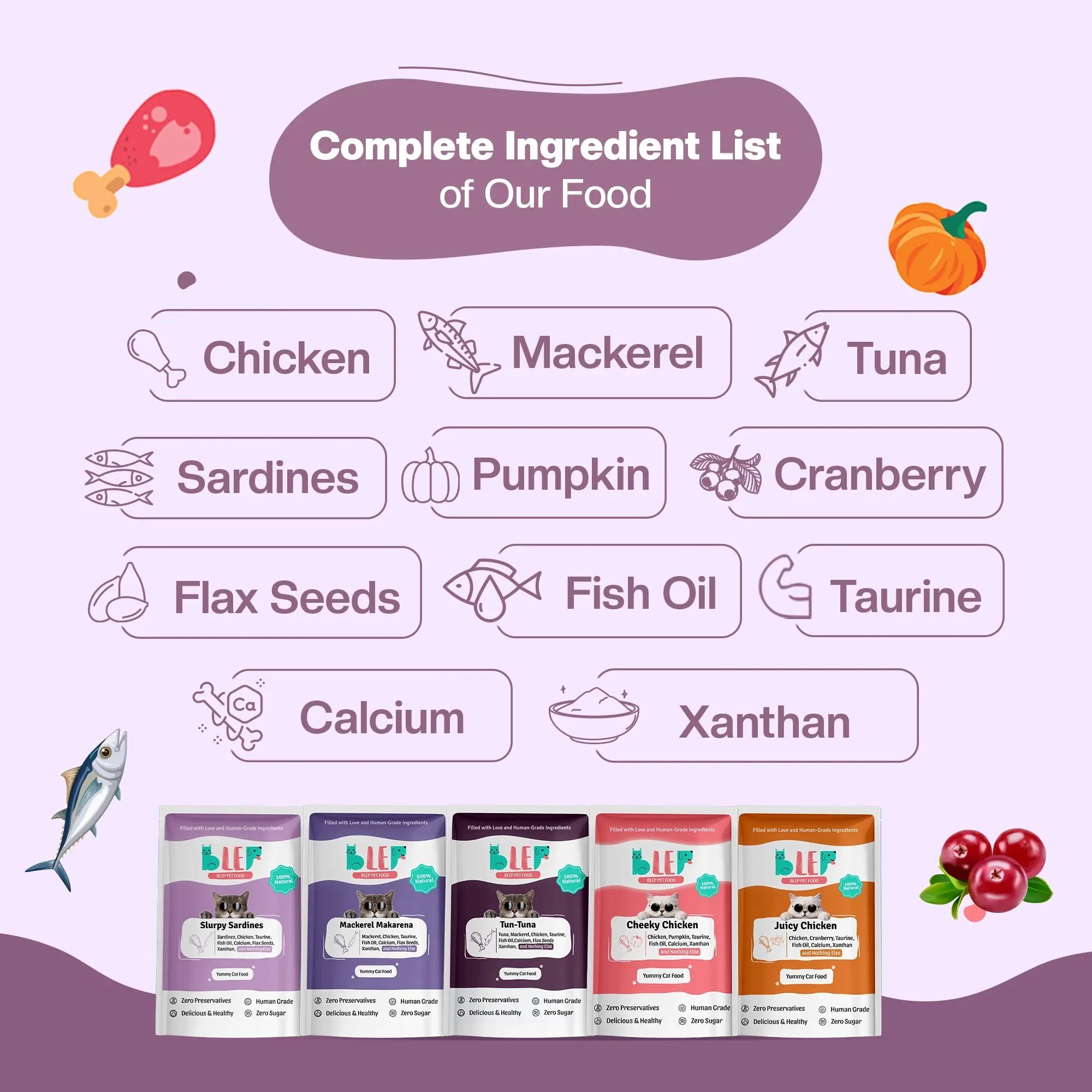 All Recipes Cat Food Trial Pack - Zero Preservatives