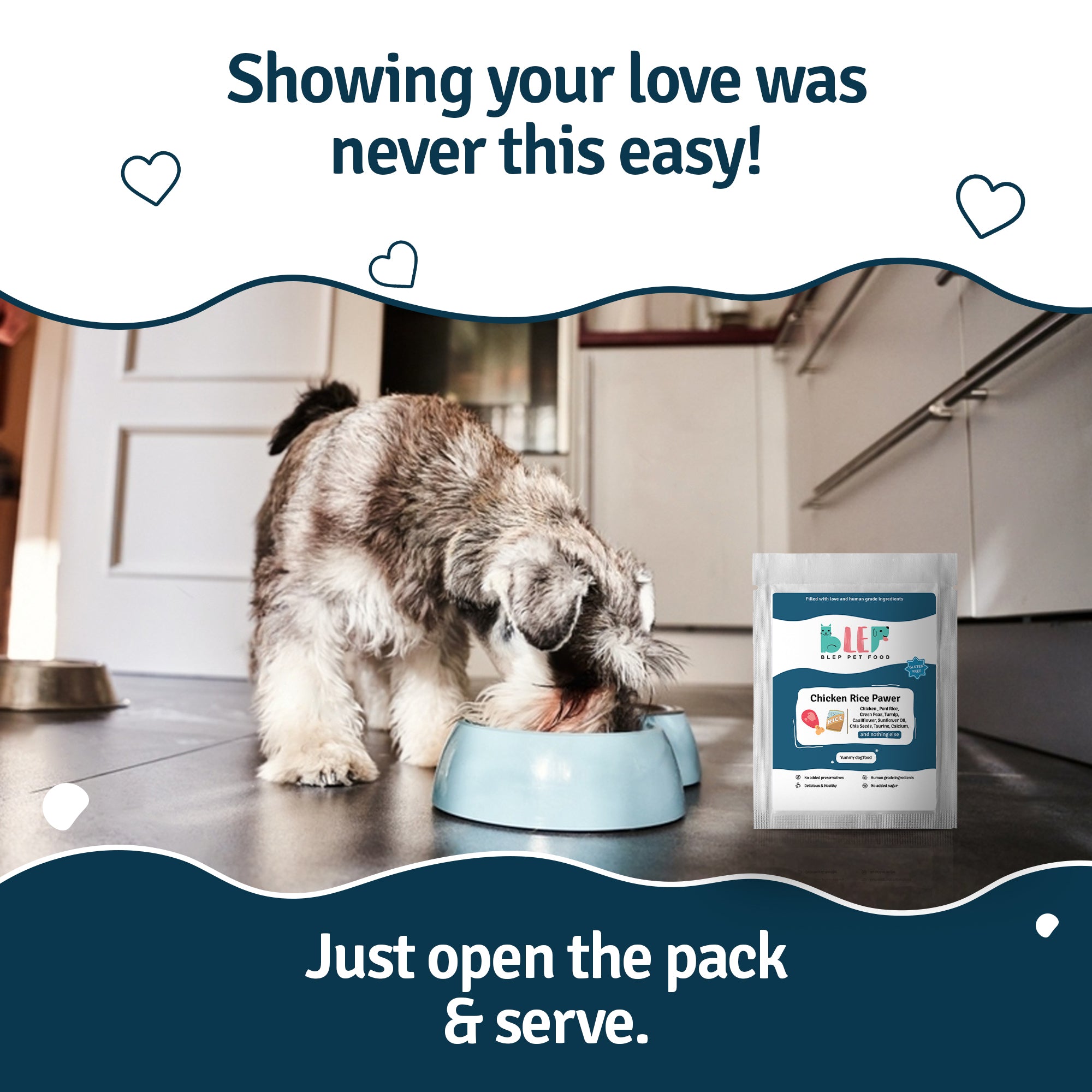 Show your love to your dog
