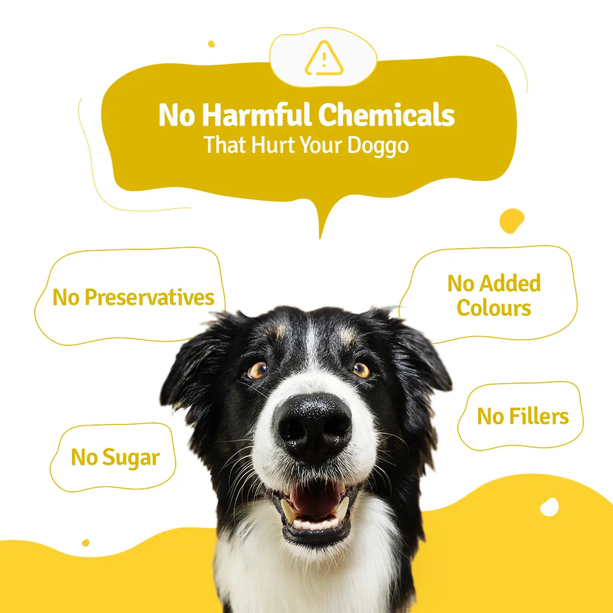 Chicken Zucchini Fresh Dog Food - Zero Preservatives