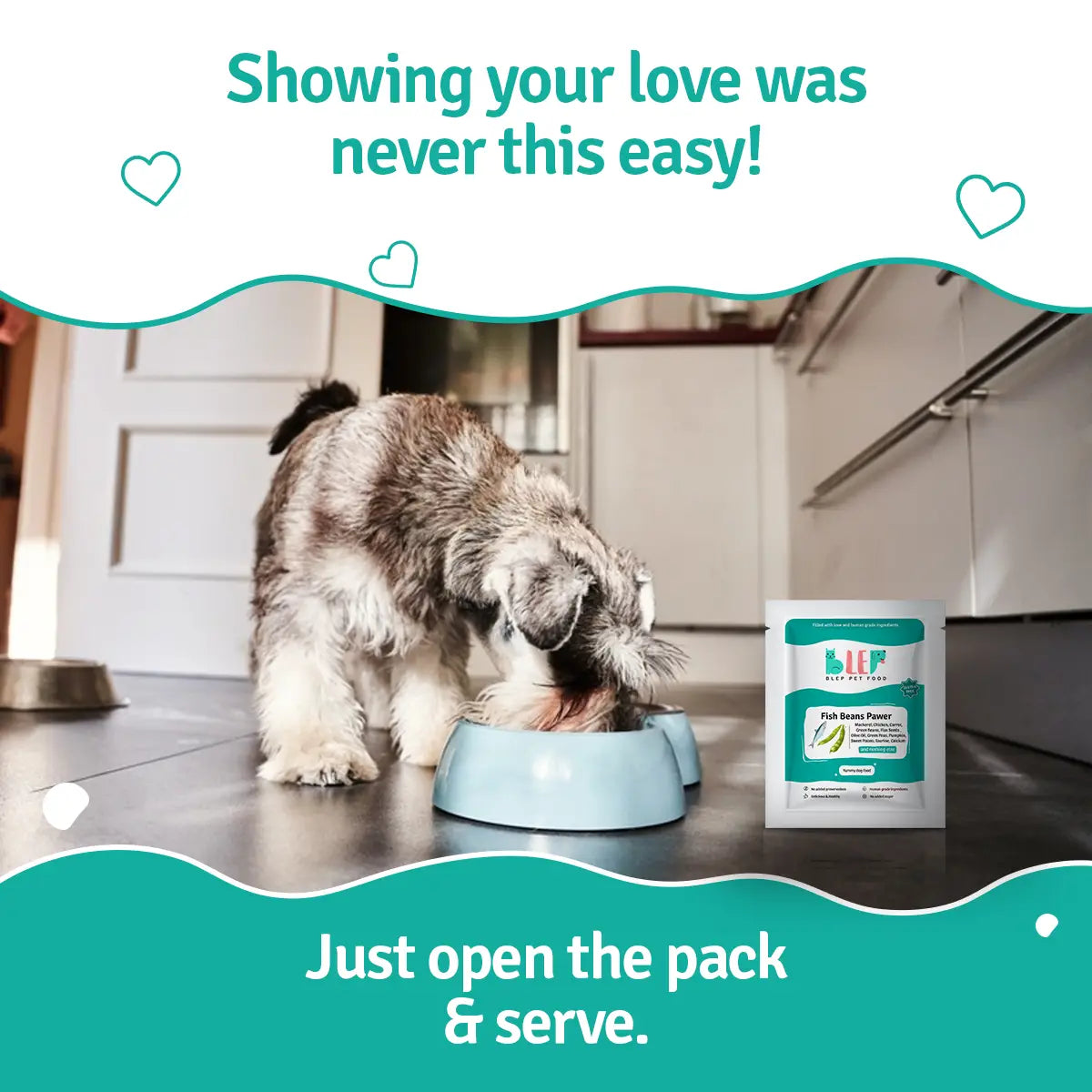 Fish Beans Dog Food Trial Pack