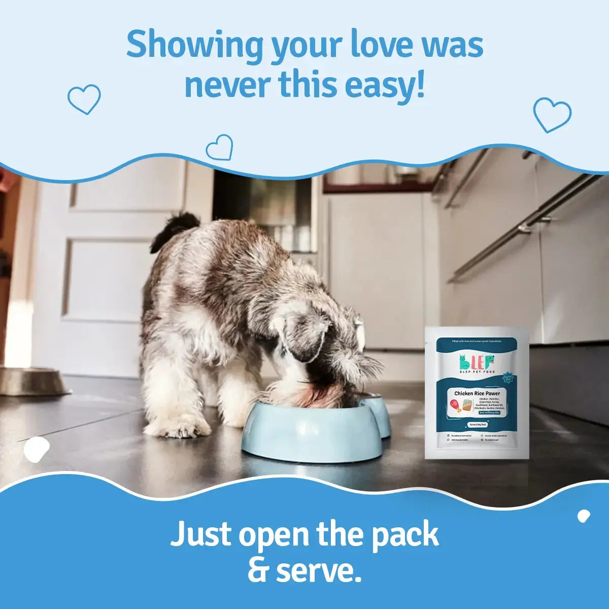 Chicken Rice Dog Food Trial Pack BlepWorld