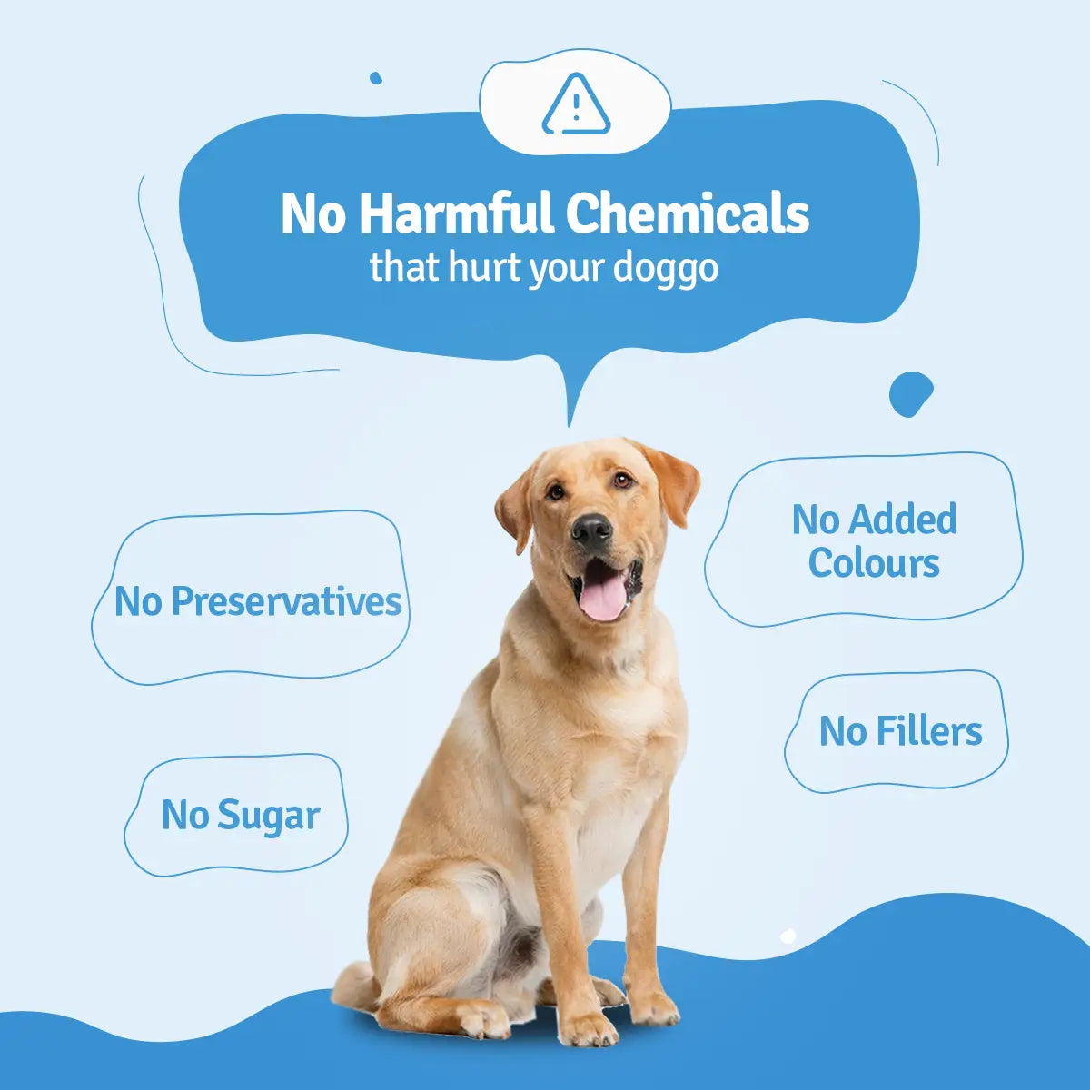 Chicken Zucchini, Pumpkin & Broccoli Fresh Dog Food - 3 packs of 100g BlepWorld