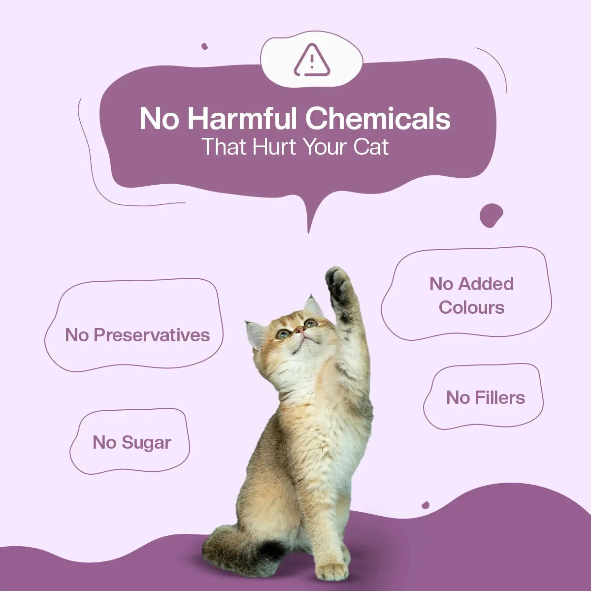 Juicy Chicken Fresh Cat Food Trial Pack