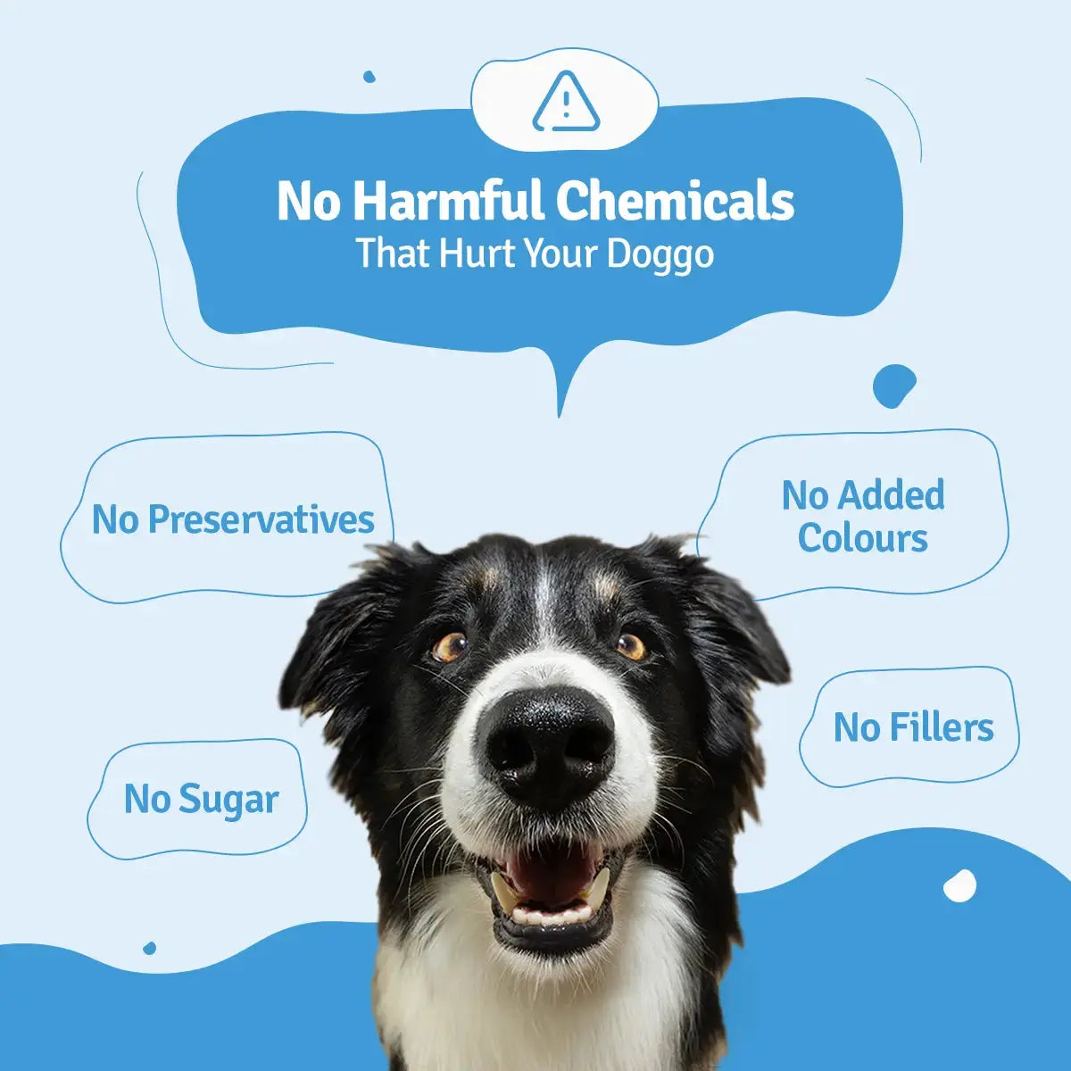 Chicken Zucchini Fresh Dog Food - Zero Preservatives BlepWorld