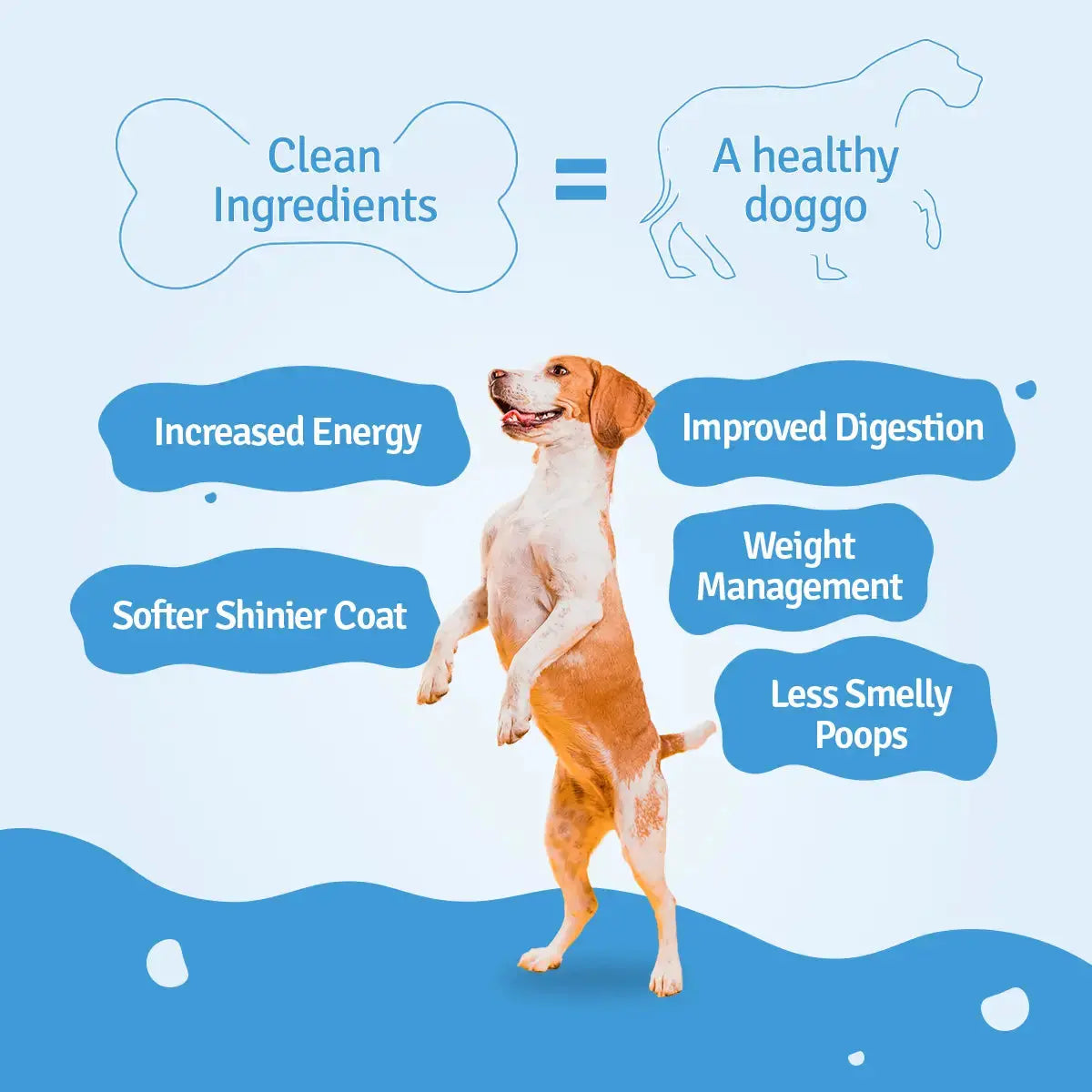 Chicken & Veggies Dog Food Trial Pack (Pumpkin, Broccoli, Zucchini) BlepWorld