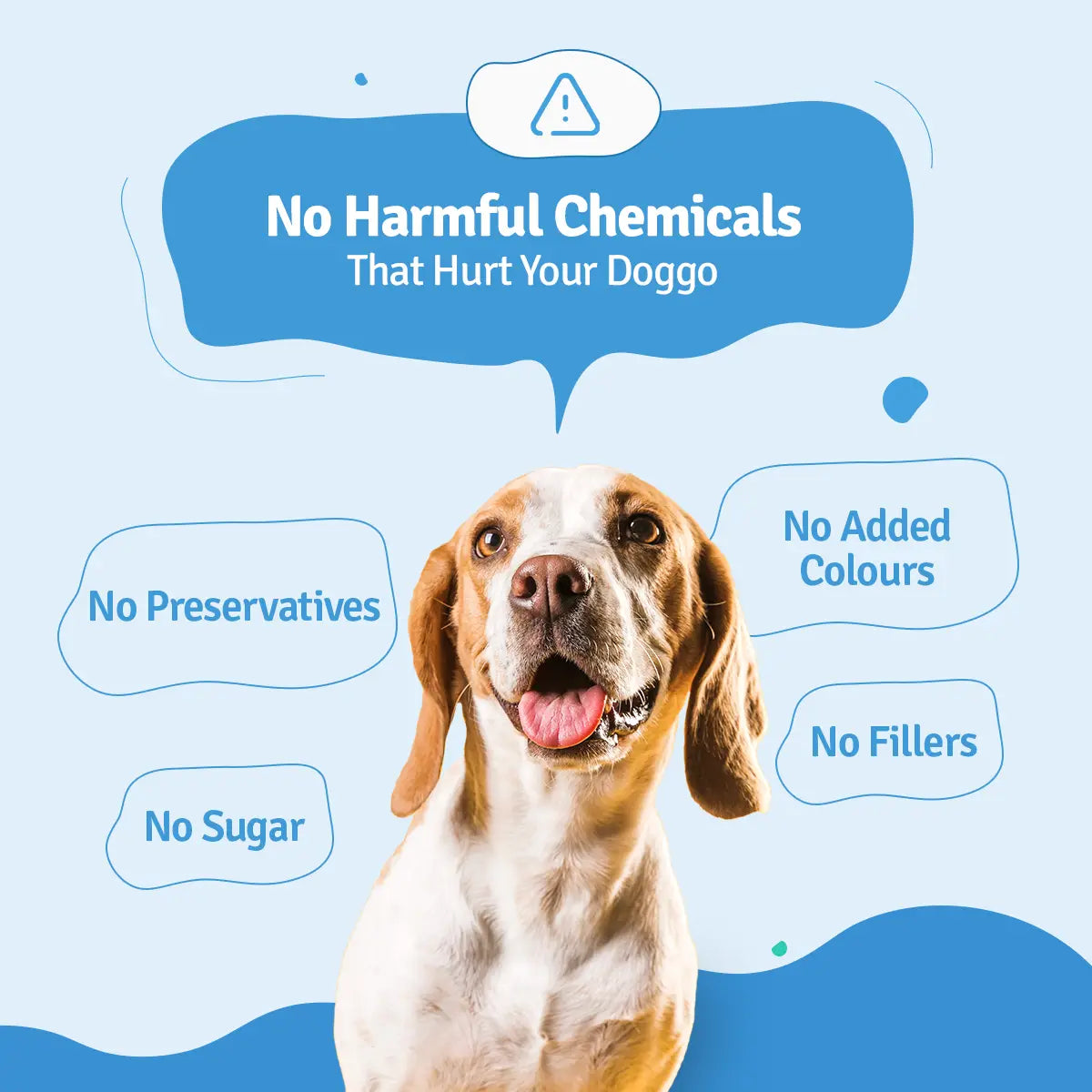 Chicken Pumpkin Fresh Dog Food - Zero Preservatives BlepWorld