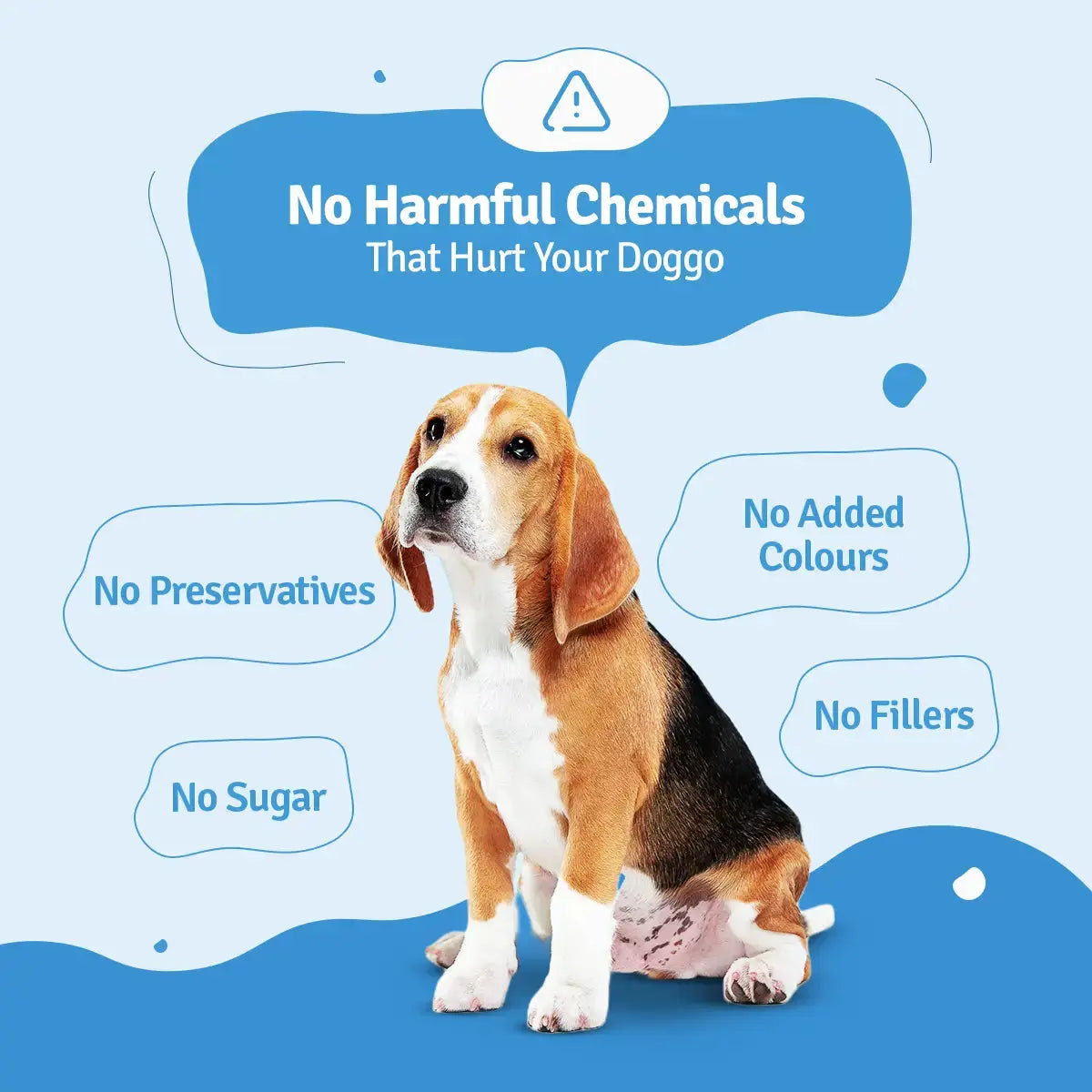 Chicken Broccoli Fresh Dog Food - Zero Preservatives BlepWorld