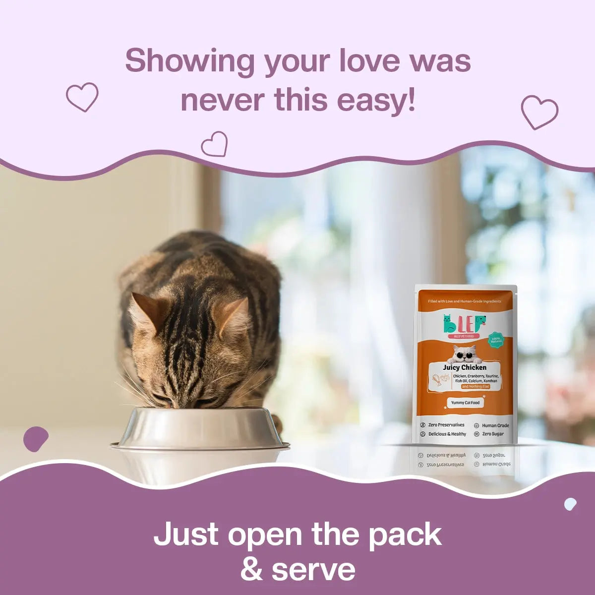 Juicy Chicken Fresh Cat Food Trial Pack