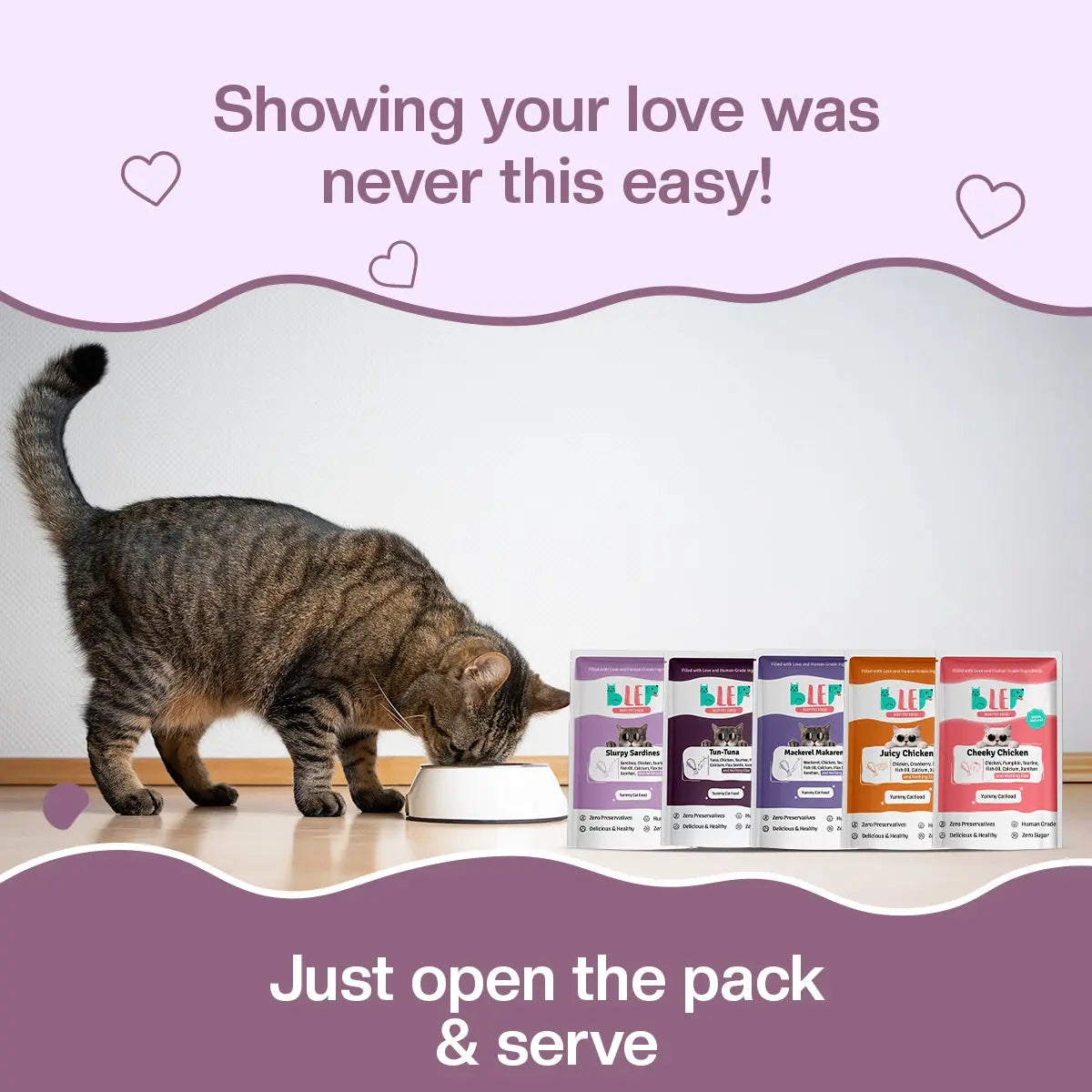 All Recipes Fresh Cat Food Monthly Pack - 100% Natural & Zero Preservatives