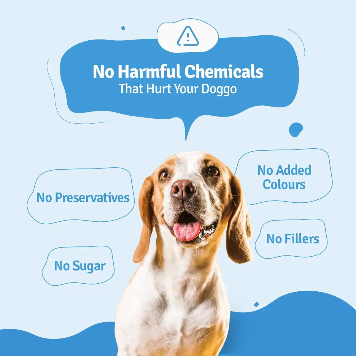 Fish Beans Fresh Dog Food - Zero Preservatives BlepWorld