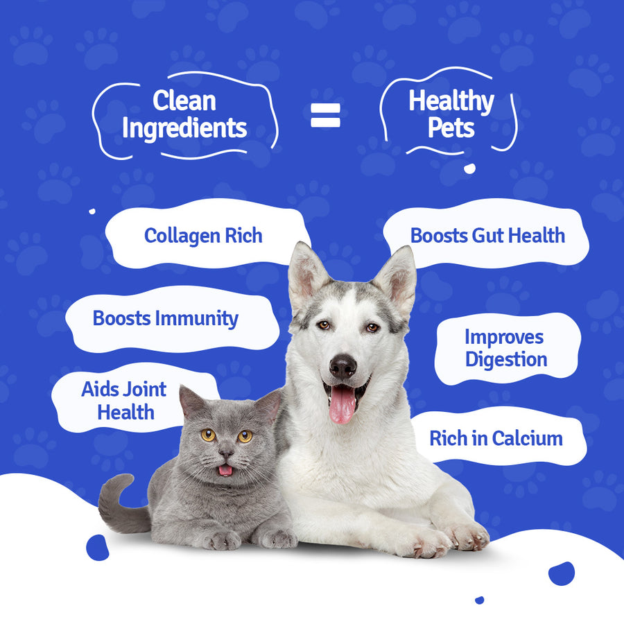 Buy Chicken Broth for Cats & Dogs in India BLEP World