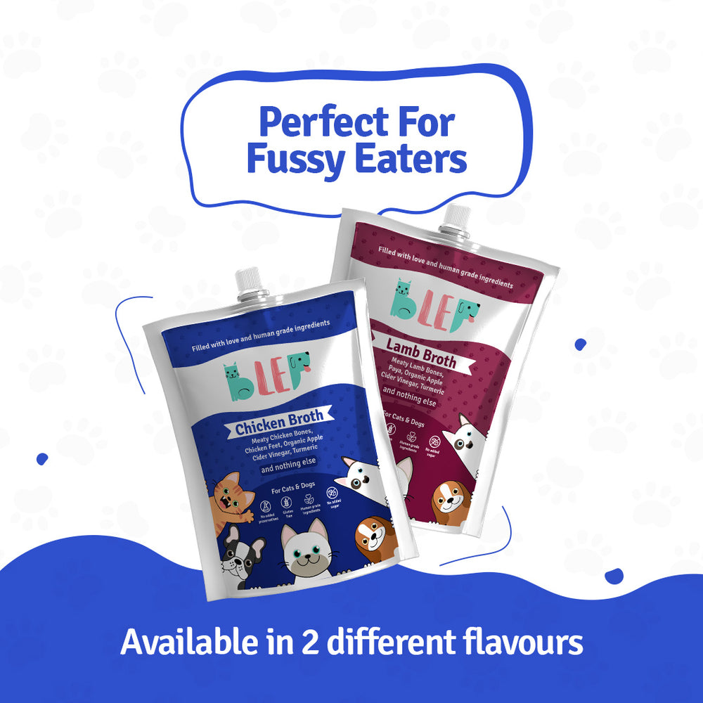Buy Chicken Broth for Cats & Dogs in India BLEP World