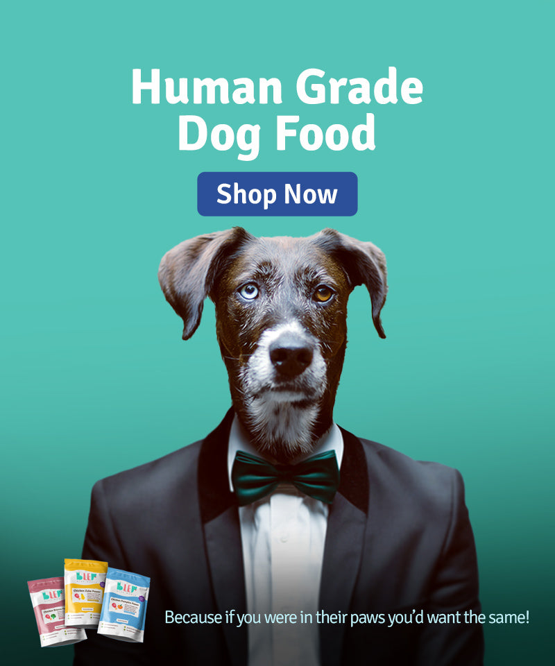 Pet Food Buy Healthy Dog & Pet Food Online at Best Price BLEPWorld