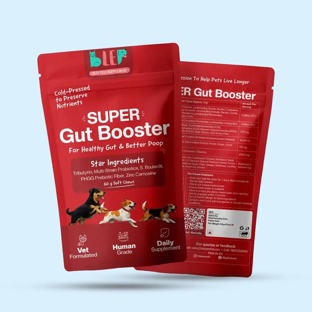 The Gut Care Rakhi Hamper