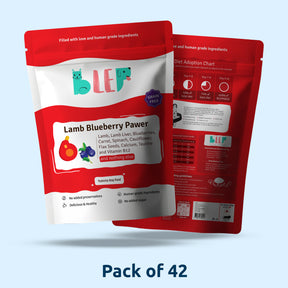 Monthly Pack of Lamb Blueberry Fresh Dog Food