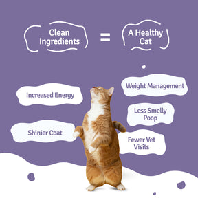 Mackerel Makarena Fresh Cat Food - Zero Preservatives