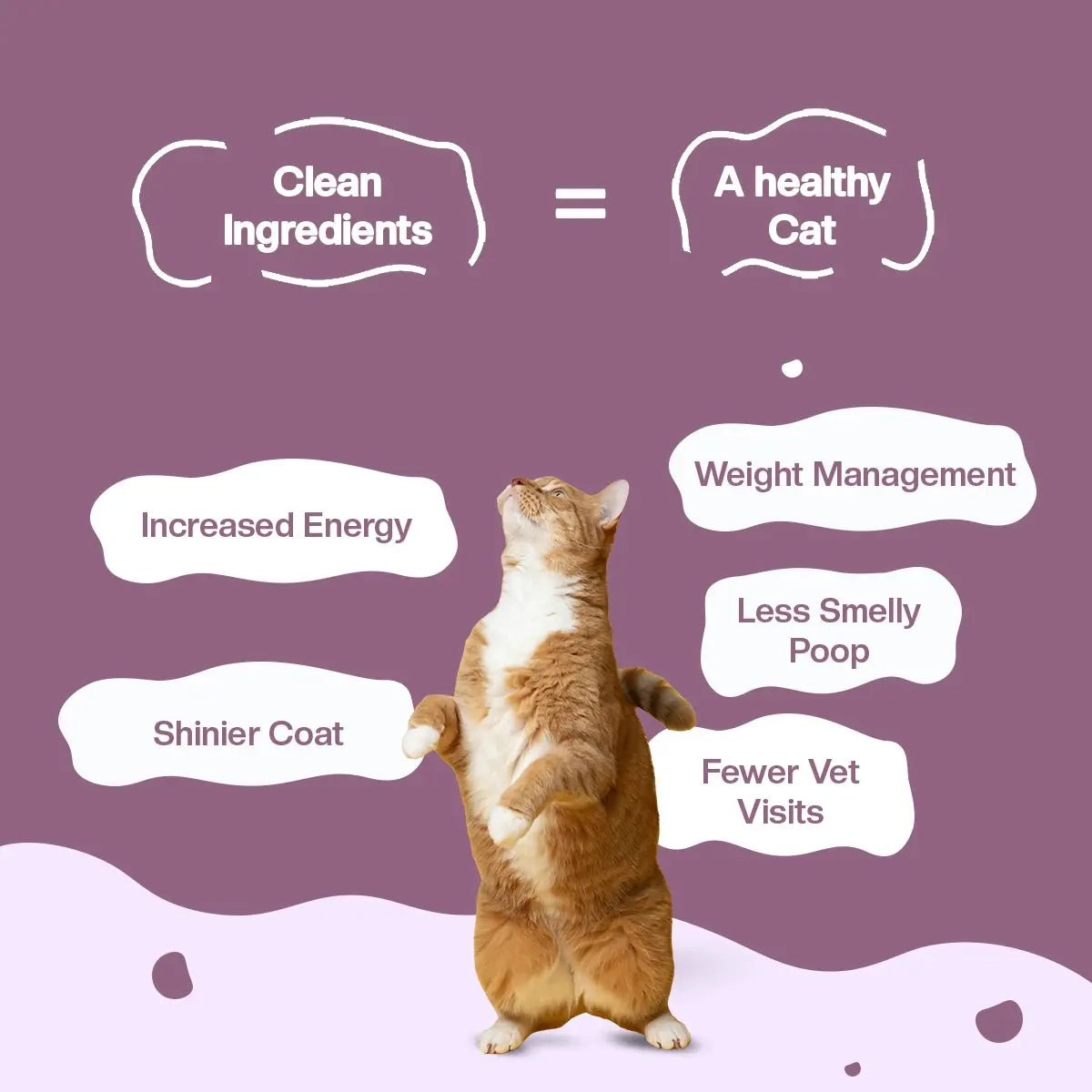 Mackerel Makarena Fresh Cat Food Trial Pack