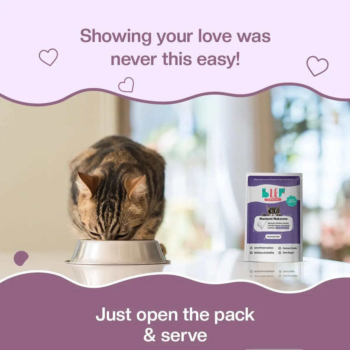 Mackerel Makarena Fresh Cat Food Trial Pack
