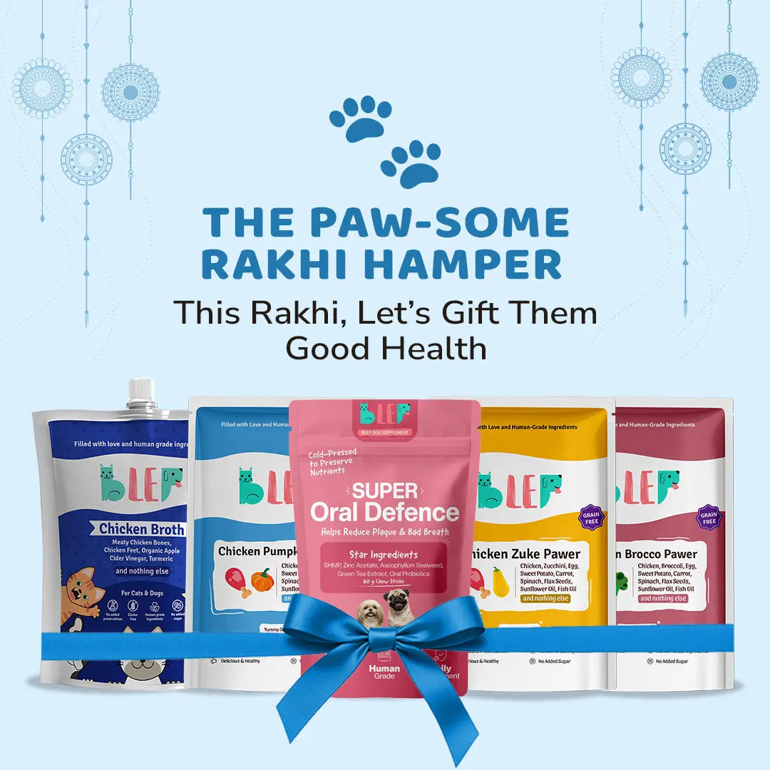The Dental Care Rakhi Hamper