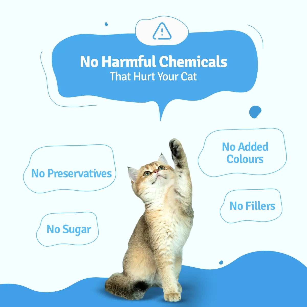 Slurpy Sardines Fresh Cat Food - Zero Preservatives