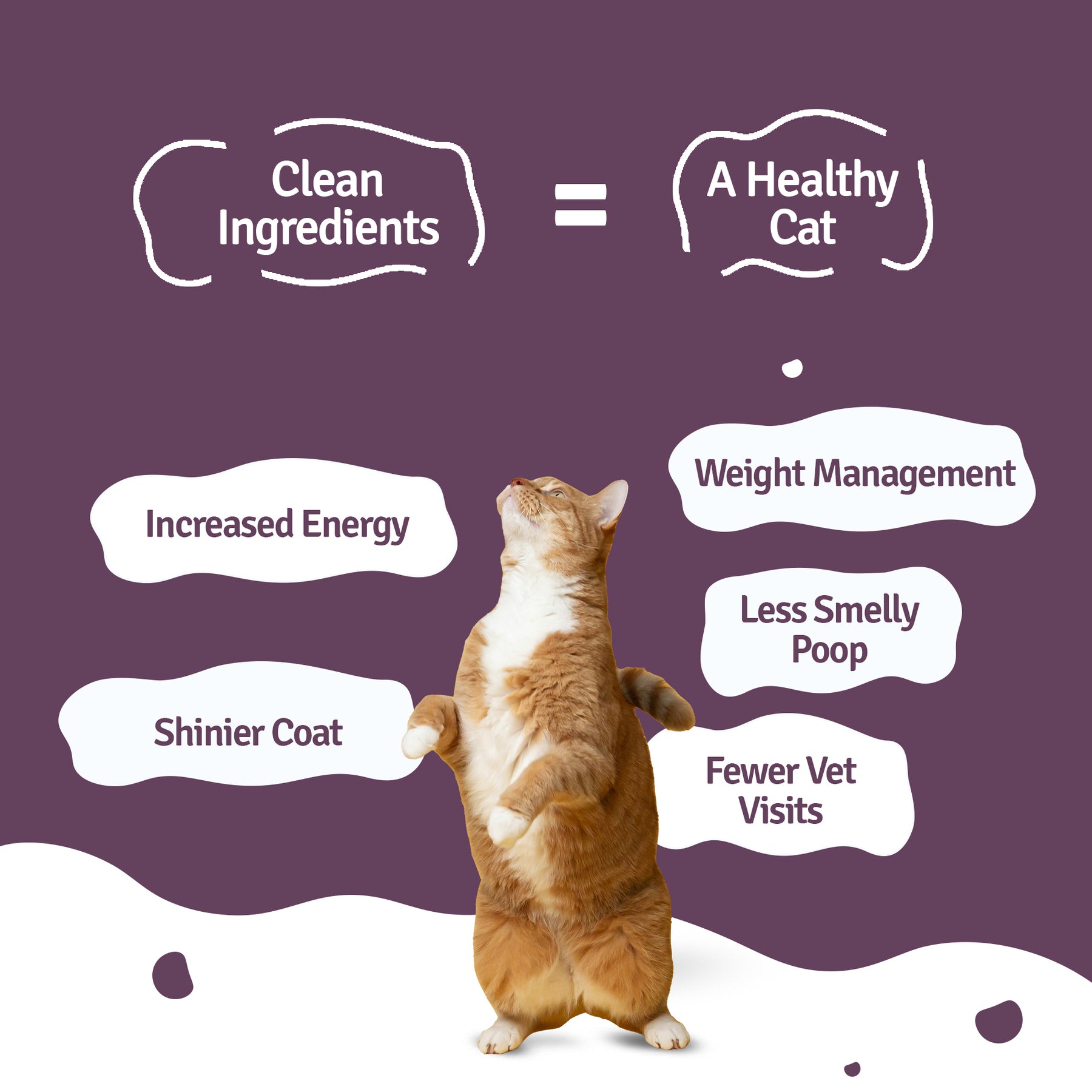 Tun-Tuna Fresh Cat Food - Zero Preservatives